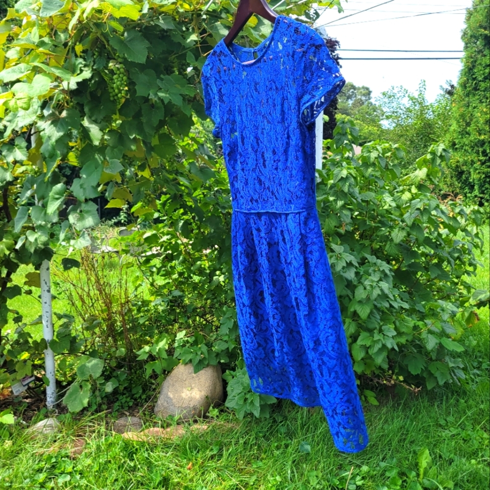 Blue Beauty Dress - J. Crew